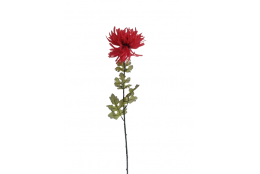 AA Chryzantéma červená 70 cm