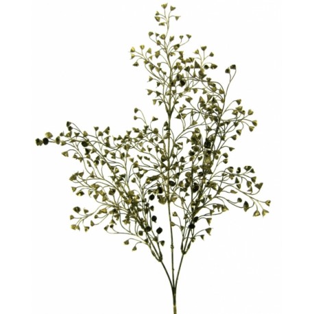 Větvička eukalypthus