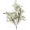 Větvička eukalypthus