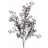 Větvička eukalypthus
