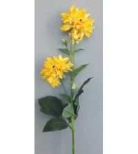 Jiřina žlutá 75 cm