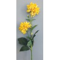Jiřina žlutá 75 cm