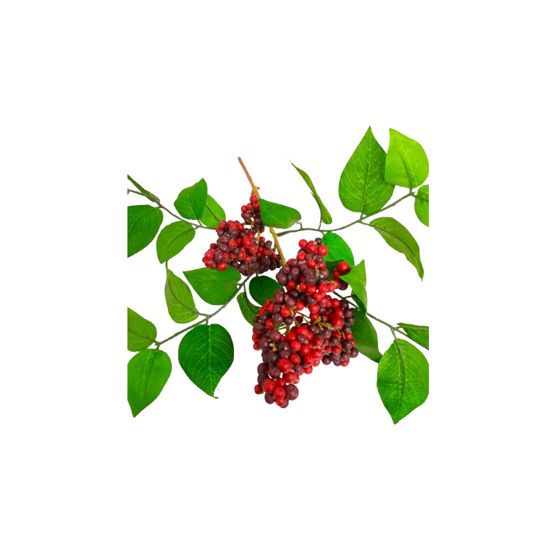 Červené bobule s listy