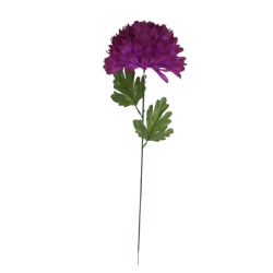 Chryzantéma fialová velká 66 cm