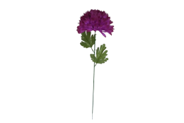 Chryzantéma fialová velká 66 cm