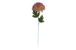 Chryzantéma žluto-růžová velká 66 cm