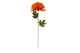 Chryzantéma hnědo-oranžová velká 66 cm