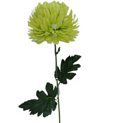 Chryzantéma velká zelená 84 cm