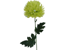 Chryzantéma velká zelená 84 cm