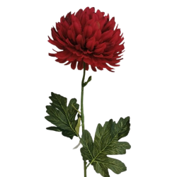 Chryzantéma velká třešňová 84 cm