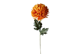 Chryzantéma velká oranžová 84 cm