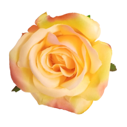 Růže krémovo-zeleno-růžová vazbová 8*7 cm