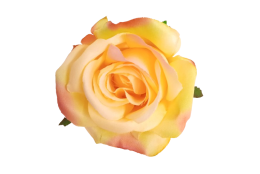 Růže krémovo-zeleno-růžová vazbová 8*7 cm