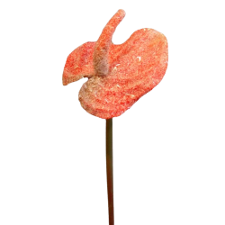 Anthurie červeno-oranžová ojíněná 30 cm