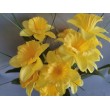 Narcis kytice, 3 barvy