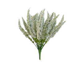 Vřes Erica bílý 29 cm