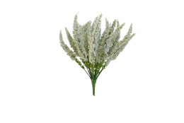 Vřes Erica bílý 29 cm