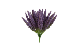 Vřes Erica fialový 29 cm