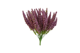 Vřes Erica tm. růžová 29 cm