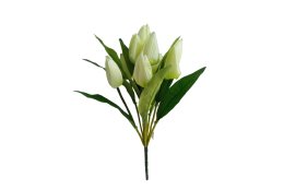 Tulipán svazek krémový 44 cm
