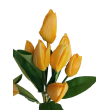 Tulipán svazek, 44 cm