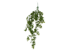 Převis plast zelený 80 cm