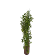 Převis plast 80 cm, 2 barvy