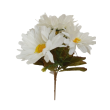 Gerbera kytice, 6 barev