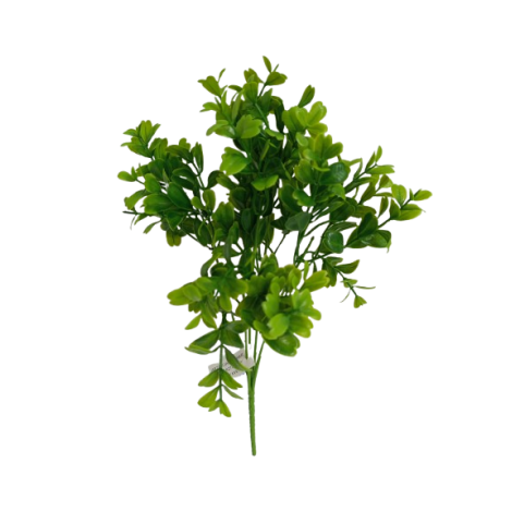 Větvička buxus zelená