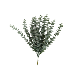 Eukalyptus svazek 12 ks 45 cm
