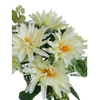 Gerbera kytice, 6 barev