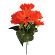 Gerbera kyt., 6 barev