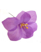 Lilie a orchidej vazbová